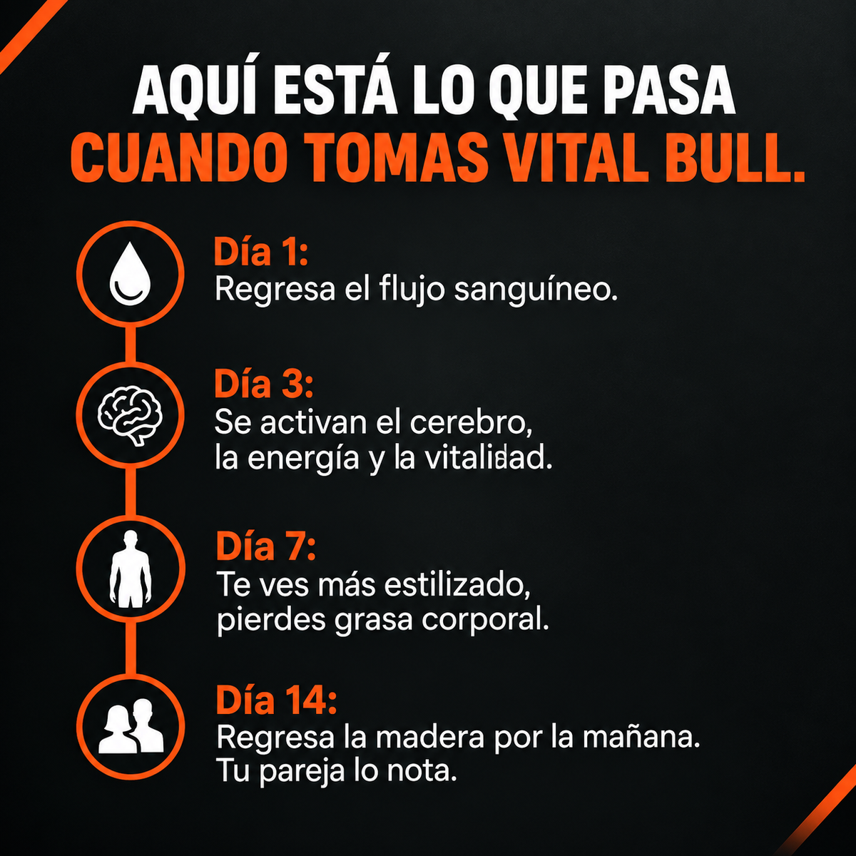 Vital Bull® Recupera tu masculinidad y Elimina la Panza Cervecera.