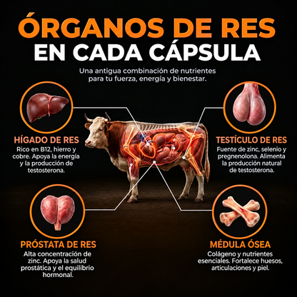 Vital Bull® Recupera tu masculinidad y Elimina la Panza Cervecera.